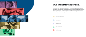 web screenshot of industry expertise
